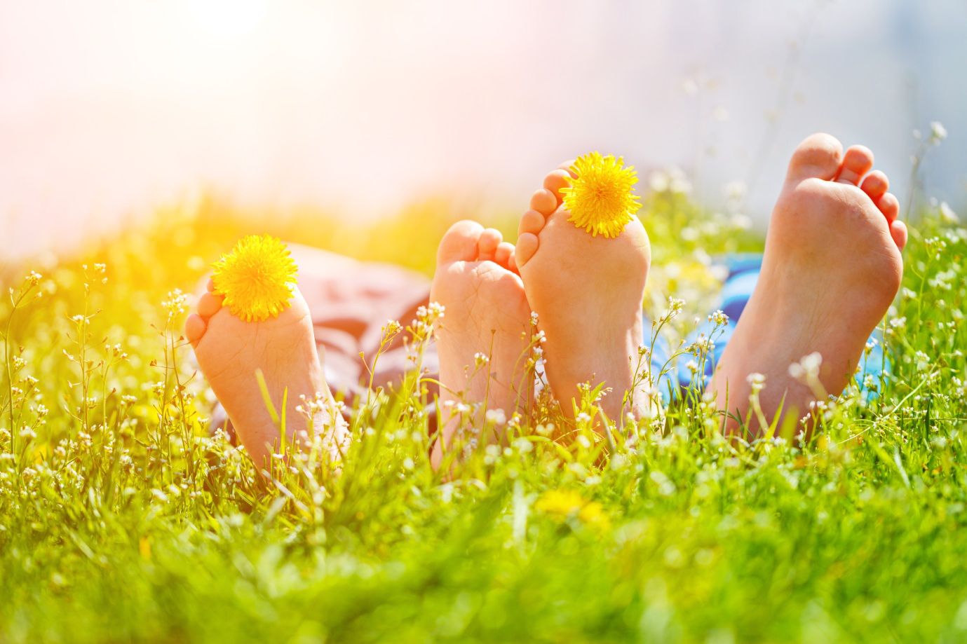 A picture of feet in a a field with dandelions between their toes. Cranstoun Footcare provides a professional and compassionate Podiatry and Chiropody service for the Lothians.